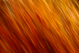 Abstract study in fire