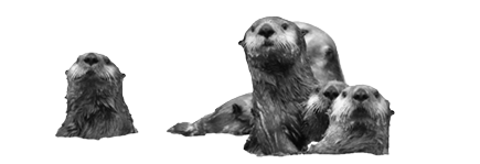 Helpful sea otters